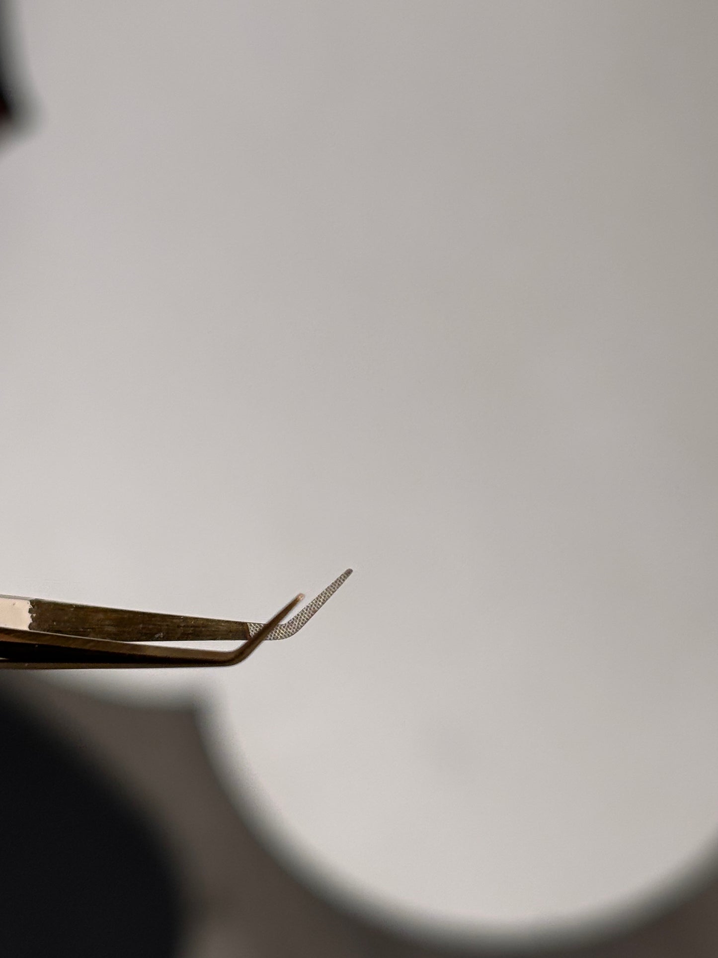 Better Together Tweezer Duo